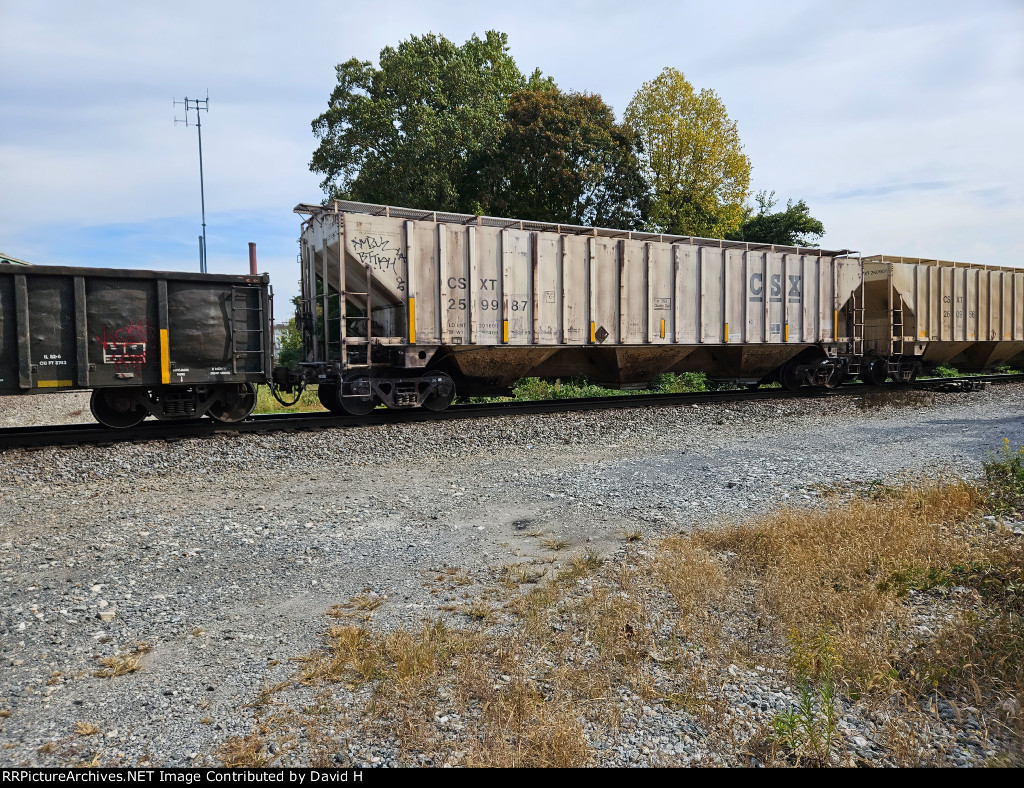 CSX 259987